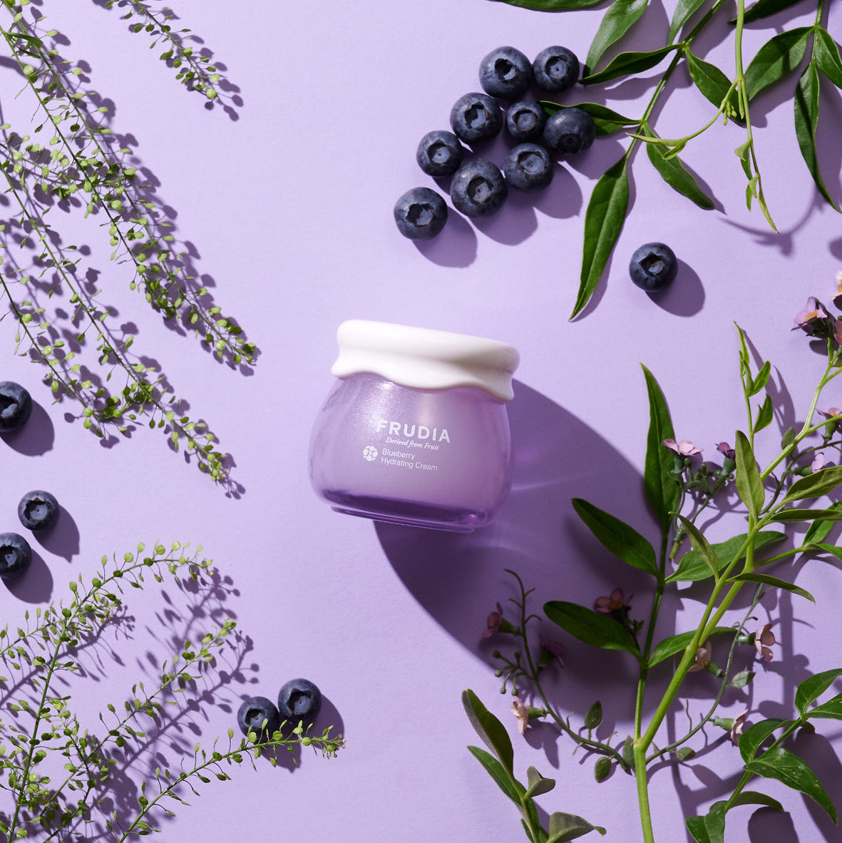 Frudia Blueberry Hydrating Cream Jar on purple background with blueberries